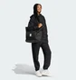 Штани жіночі Adidas All Szn Black IX3810