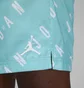 Шорты мужские Air Jordan Essentials Allover Print Poolside Turquoise DX9673-464