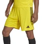 Шорти чоловічі Adidas Shorts Tiro 23 Sho Yellow IB8085