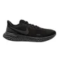 Кросівки жіночі Nike Revolution 5 Black BQ3207-001