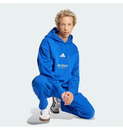 Штани чоловічі Adidas All Szn Fleece Graphic Loose Sportswear Blue JJ3663