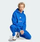 Штани чоловічі Adidas All Szn Fleece Graphic Loose Sportswear Blue JJ3663