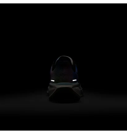 Кросівки жіночі Nike Air Zoom Pegasus 41 Multi HJ7816-400