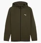 Толстовка мужская Puma Evostripe Fz Hoodie Dk Olive 688231-70