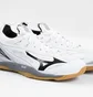 Кроссовки мужские Mizuno Wave Mirage 2.1 White/Grey X1GA1850-09