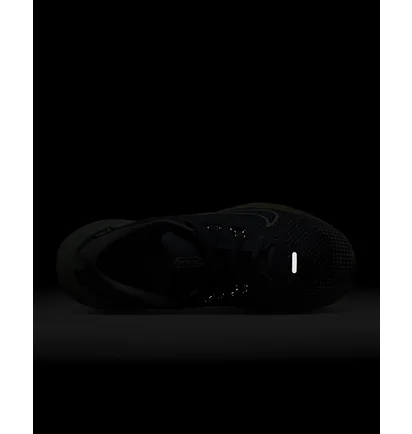 Кросівки жіночі Nike Juniper Trail 2 Gore-Tex Waterproof Trail Running Shoes Blue FB2065-403