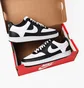 Кросівки жіночі Nike Court Vision Low Next Nature White/Black DH3158-003