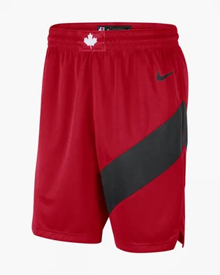 Шорти чоловічі Nike Toronto Raptors Icon Edition 2020 Nba Swingman Red CN8089-657