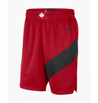 Шорты мужские Nike Toronto Raptors Icon Edition 2020 Nba Swingman Red CN8089-657