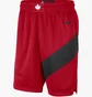Шорты мужские Nike Toronto Raptors Icon Edition 2020 Nba Swingman Red CN8089-657