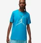 Футболка мужская Air Jordan Essential Crewneck Tee 3 Light Blue DX9581-483