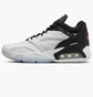 Кросівки чоловічі Air Jordan Point Lane Asw White Dr0293-001
