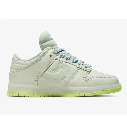 Кросівки дитячі Nike Dulow Se Padded Tongue Sea Glass Beige FB7700-001