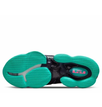 Кроссовки унисекс Nike Lebron Xix Dj Bron Violet Cz0203-500