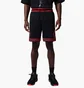 Шорты мужские Air Jordan Sport Dri-Fit Mesh Black HF9910-014