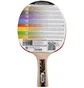 Ракетка для настольного тенниса Donic Legends 800 Fsc Black/Red 754425