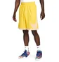 Шорты мужские Nike Dri-Fit Yellow DH6763-709