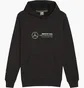 Худи мужское Puma Mercedes Amg Petronas Motorsport Black 623749-01