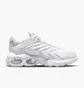 Кросівки чоловічі Nike Air Max Tw MenS Shoes White DQ3984-102