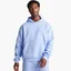 Худи мужское Air Jordan Essentials Jumpman Logo Fleece Pullover Hoodie Light Blue FJ7774-425