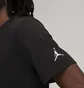 Футболка чоловіча Air Jordan Mens T-Shirt Black DM3182-010