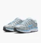 Кросівки чоловічі Nike P-6000 Metallic CD6404-025