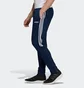 Штаны мужские Adidas Sere19 Trg Pnt Blue DY3134