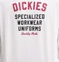 Лонгслів чоловічий Dickies Longsleeve White DK0A4Z930WH1