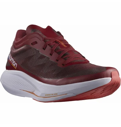 Кросівки чоловічі Salomon Phantasm Running Shoes Bordo L41610300