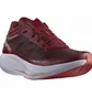 Кросівки чоловічі Salomon Phantasm Running Shoes Bordo L41610300