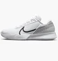 Кроссовки мужские Nike Court Air Zoom Vapor Pro 2 White Dr6191-101