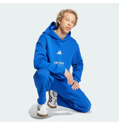 Худи мужское Adidas All Szn Fleece Graphic Sportswear Blue JJ3667