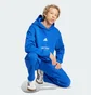 Худи мужское Adidas All Szn Fleece Graphic Sportswear Blue JJ3667