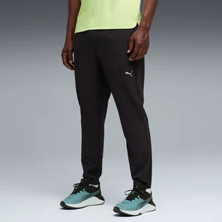 Штаны мужские Puma Flex Stretch Black 527651-56
