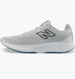 Кроссовки мужские New Balance Fresh Foam 520 V9 Grey M5206IE