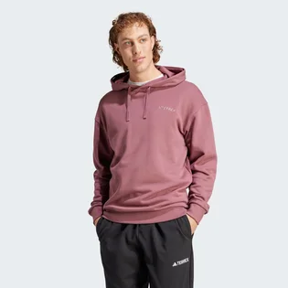 Худи мужское Adidas Terrex Logo Hoodie Violet IN4715