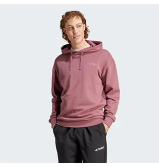 Худи мужское Adidas Terrex Logo Hoodie Violet IN4715