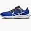 Кросівки чоловічі Nike Pegasus 40 Blue DV3853-401