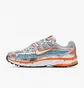 Кросівки унісекс Nike P-6000 Metallic/Grey CT3751-001