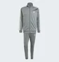 Спортивный костюм мужской Adidas Basic 3-Stripes Tricot Track Suit Grey IY6649