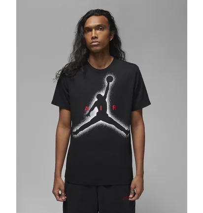Футболка мужская Air Jordan Essentials Black Dv8420-010