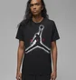 Футболка мужская Air Jordan Essentials Black Dv8420-010