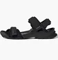 Сандали унисекс Adidas Terrex Hydroterra Black JQ2231