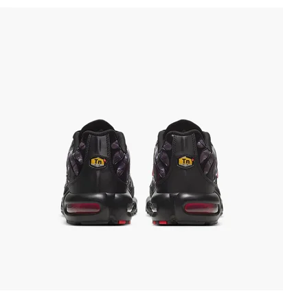 Кросівки чоловічі Nike Air Max Plus Grey/Black DJ0638-001