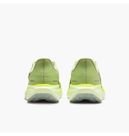 Кроссовки мужские Nike Air Zoom Pegasus 41 Green FD2722-303