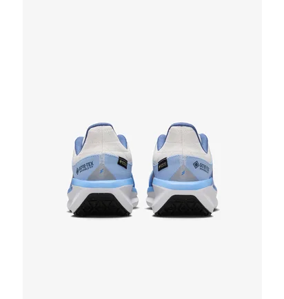 Кросівки жіночі Nike Winflo 11 Gore Tex Blue/Beige FQ1359-002