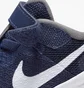Кросівки дитячі Nike Revolution 6 Nn (Tdv) Blue Dd1094-400