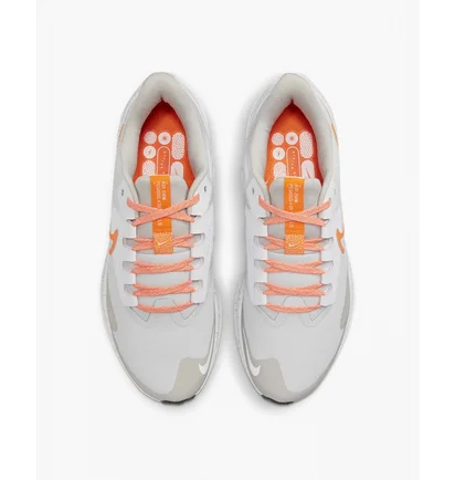 Кросівки жіночі Nike Air Zoom Pegasus 39 Shield Beige Do7626-004