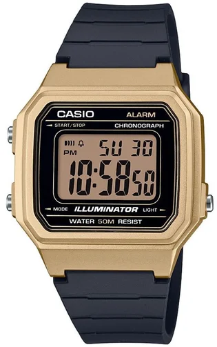 Часы мужские Casio W-217Hm-9Avef