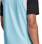 Майка мужская Adidas Training Trg Bib 14 Light Blue FI4188